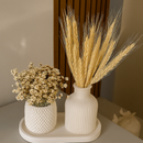 Kit 3 peças decorativas de gesso com bandeja e vasos -