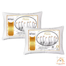 Kit 2 Travesseiros Pluma de Ganso Premium