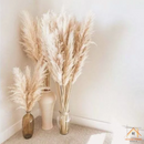 Kit com 10 Plumas Naturais | Capim dos Pampas Elegante