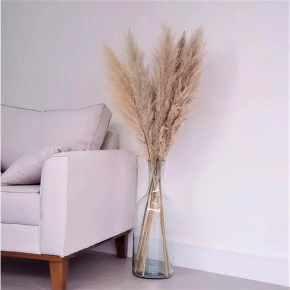 Kit com 10 Plumas Naturais | Capim dos Pampas Elegante