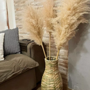 Kit com 10 Plumas Naturais | Capim dos Pampas Elegante