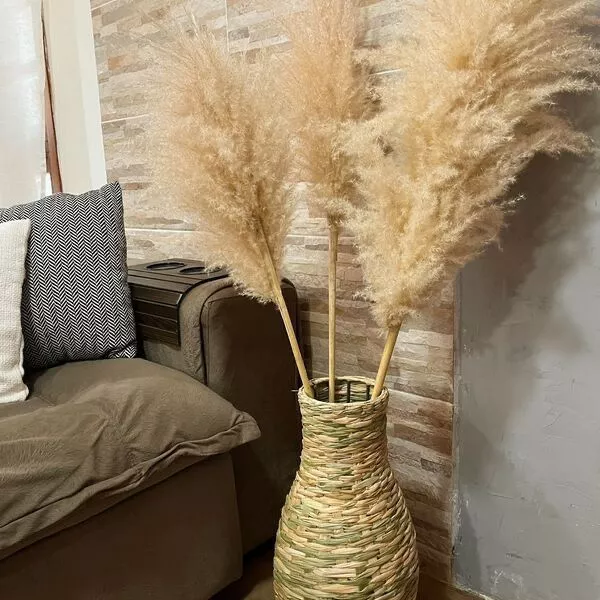 Kit com 10 Plumas Naturais | Capim dos Pampas Elegante