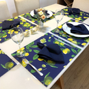 Kit 18 Peças Jogo Americano com Guardanapos e Argolas